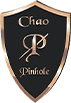 Chao Pinhole Surgical Technique logo