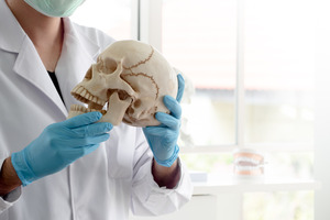 Dentist holding a fake skull